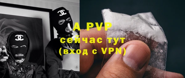 2c-b Бородино
