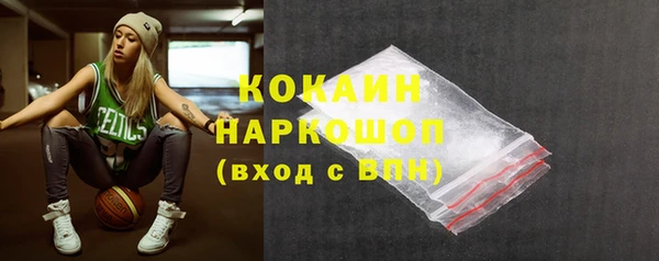 2c-b Бородино