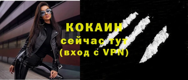 крисы Богородицк