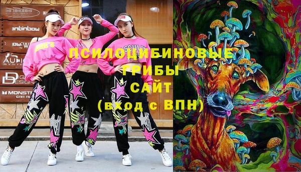 2c-b Бородино