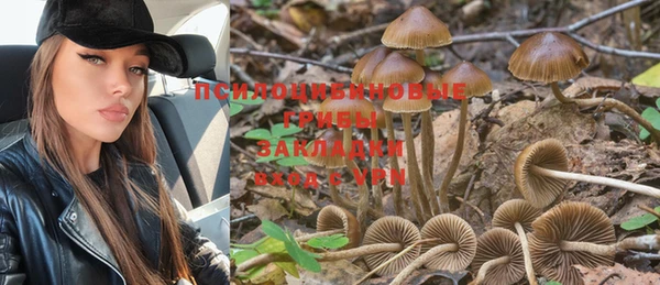 не бодяженный Бронницы