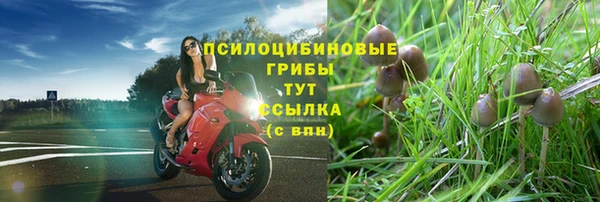 2c-b Бородино