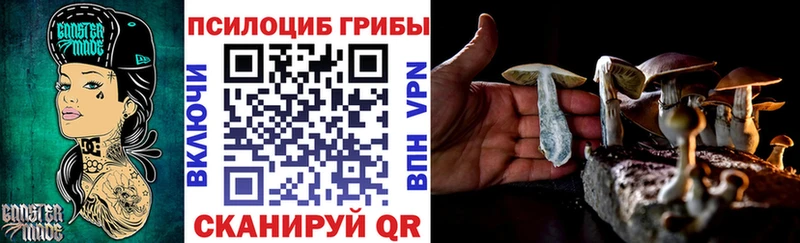 Купить где  Жуковка  Галлюциногенные грибы мицелий 